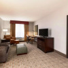 Отель Hilton Garden Inn Denison/Sherman/At Texoma Event Center, фото 7
