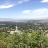 Отель Utah's Best Vacation Rentals - Salt Lake, фото 15