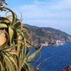 Отель Appartamento La Spezia Cinque Terre, фото 7
