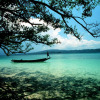 Отель Wild Orchid Resort - Havelock Island, фото 11