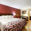 Отель Red Roof Inn Grand Rapids Airport, фото 5