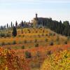 Отель Castello Banfi - Il Borgo, фото 5