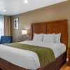 Отель Comfort Inn Bishop, фото 5