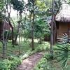 Отель Elephant Safari Hotel - Udawalawa, фото 7