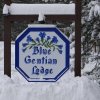 Отель Blue Gentian Lodge at Magic Mountain в Лондондерри