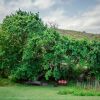 Отель Country Cottage in the Overberg, фото 12