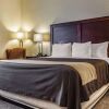 Отель Comfort Inn & Suites, фото 43