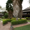 Отель Ol Tukai Lodge Amboseli, фото 34