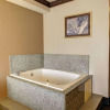 Отель Comfort Inn & Suites, фото 8