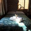 Отель Cabaña Quetzaly, фото 9