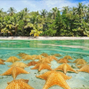 Отель Coconut Bungalows Star Fish Beach, фото 21