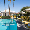 Отель Avalon Hotel & Bungalows Palm Springs, a Member of Design Hotels, фото 15
