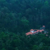 Отель Svaztha Ayurveda Retreat, фото 20