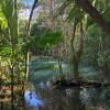 Отель Santuario de Ranas Valle Azul, фото 14