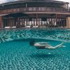 Отель Boribot Pool Resort, фото 1