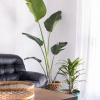 Отель Home2Book Charming Center Apartment Santa Cruz, фото 42