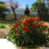 Отель il giardino sul mare B&B, фото 13