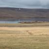 Отель Guesthouse Neðra-Vatnshorn, фото 19