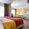Отель Comfort Inn, фото 7