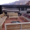 Отель Wadi Rum Safari Camp, фото 3