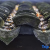 Отель Dapengshan Hotel Hot Spring Nanshu, фото 13
