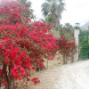 Отель Villa Ponticelli, фото 6