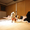 Отель Sapporo Hiraoka Dog Hotel, фото 12