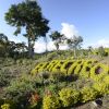 Отель Finca El Recreo, фото 15