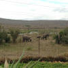 Отель Villa Too Kruger Lodge, фото 23