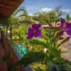 Отель Villas Mariposas, фото 47