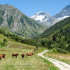 Отель Apartment With 2 Bedrooms in Champagny-en-vanoise, With Furnished Garden and Wifi - 1 km From the Sl, фото 7
