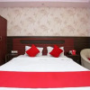 Отель OYO 28336 Hotel Girish, фото 8