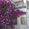 Отель Serenity Hideaway, фото 1