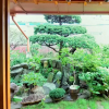 Отель Jeonju Good Day Hanok Stay, фото 14