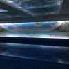 Отель Ski & Spa Apartment S20 Milmari Resort Kopaonik, фото 18