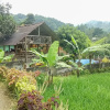 Отель De Salak Homestay Gunung Salak RedPartner, фото 7