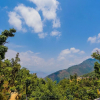 Отель OYO 14133 Home Oak Cottage 1BHK Kempty Road, фото 13