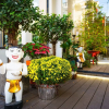Отель Vietlife - Cultural Homestay, фото 17