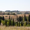 Отель Agriturismo Cignan Rosso, фото 11