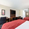 Отель Comfort Inn Onalaska - La Crosse Area, фото 23