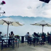 Отель Fansipan Terrace Cafe and Homestay, фото 23