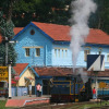 Отель Blue Hills Coonoor, фото 8
