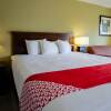 Отель Cypress Inn & Suites Washington - Chocowinity, NC By OYO, фото 36