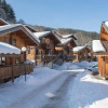 Отель Nemea Chalets Bois de Champelle, фото 27