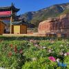 Отель Lugu Lake Mosuo Home Hotel, фото 6