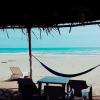 Отель Pacha Beach Hotel, фото 11