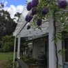 Отель Coolajarra B&B, фото 6