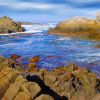 Отель Tsitsikamma on Sea, фото 12