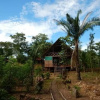 Отель Amazon Lodge Tambopata, фото 17