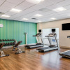Отель Holiday Inn Express & Suites Tampa North - Wesley Chapel, an IHG Hotel, фото 19